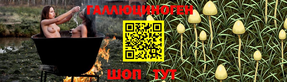 Мелеуз  Псилоцибиновые грибы Magic Shrooms  Галлюциногенные грибы Psilocybe  Вход с VPN 
