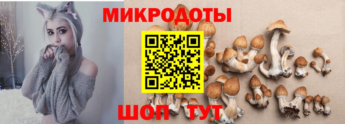 Галлюциногенные грибы ЛСД Мелеуз